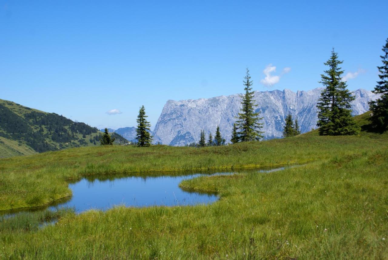 Das Sonneck Mühlbach am Hochkönig Εξωτερικό φωτογραφία