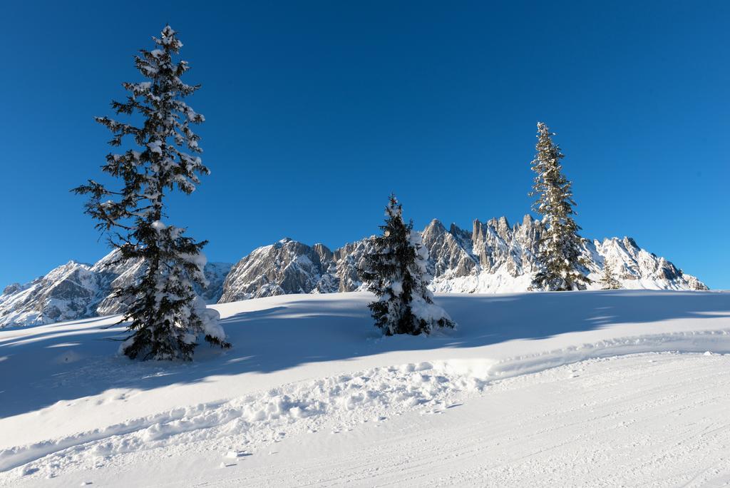 Das Sonneck Mühlbach am Hochkönig Εξωτερικό φωτογραφία